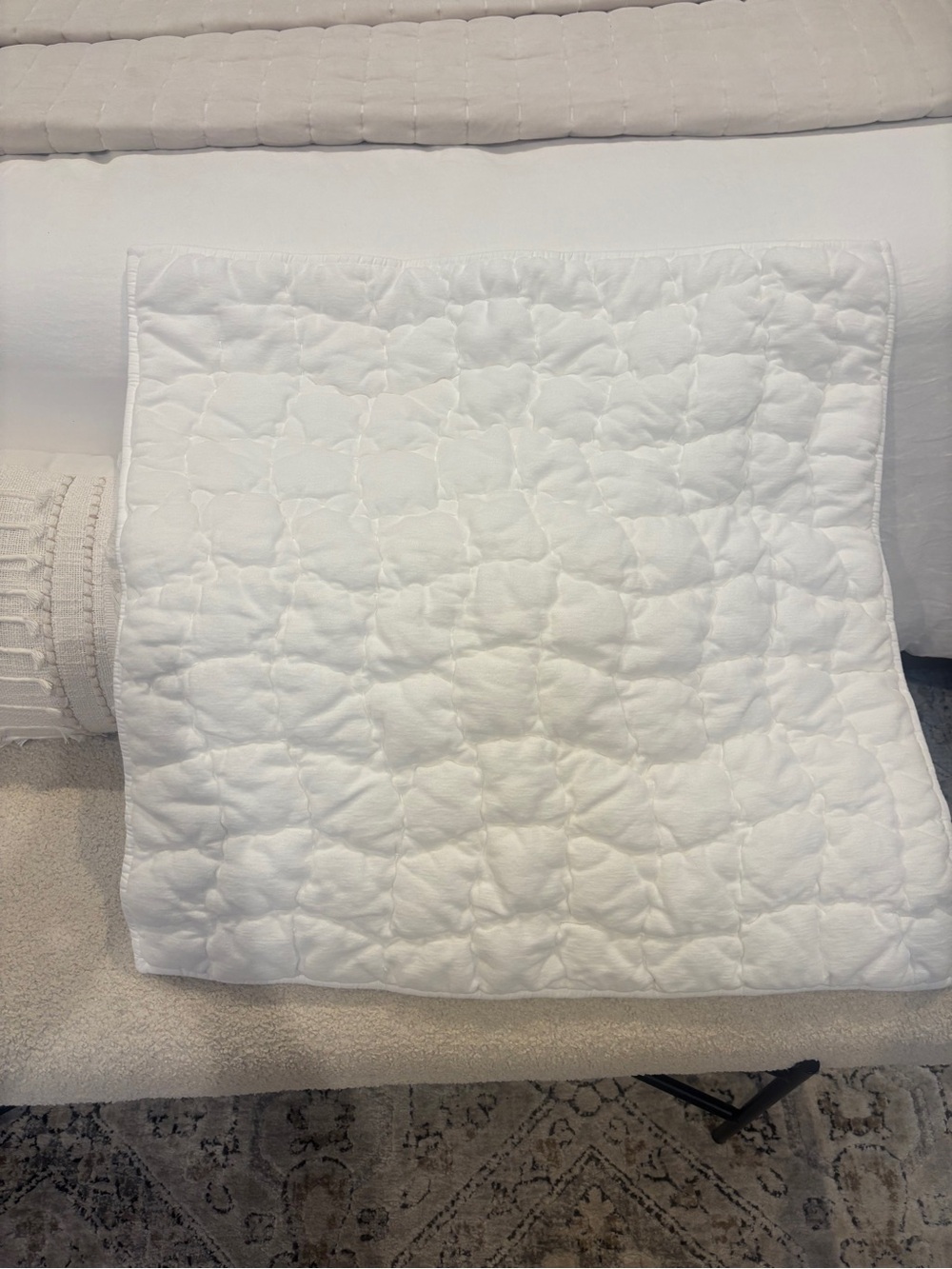 Pottery Barn Cozy Cloud Euro Pillow Sham- set of 2